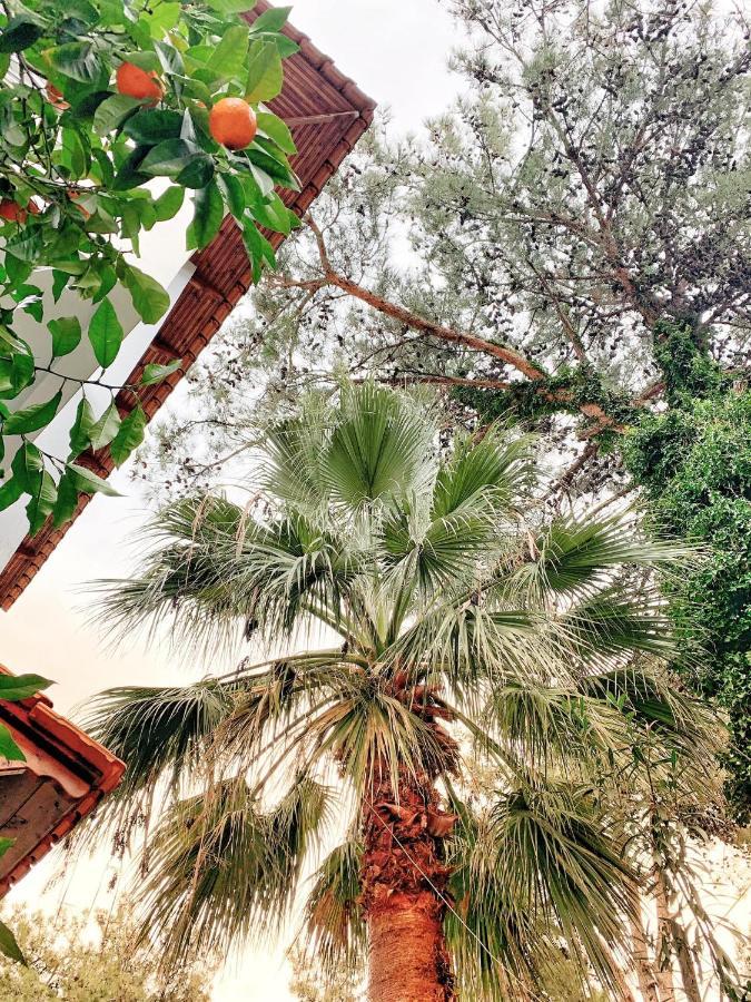 Prínos Villa Anais المظهر الخارجي الصورة