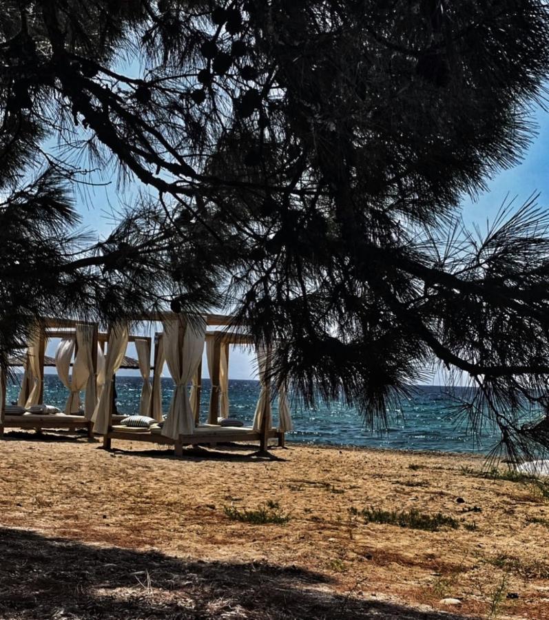 Prínos Villa Anais المظهر الخارجي الصورة